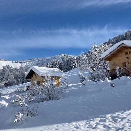 Chalets Savoie Les Chalets D'Heidi ノートル・ダム・ド・ベルコンブ エクステリア 写真