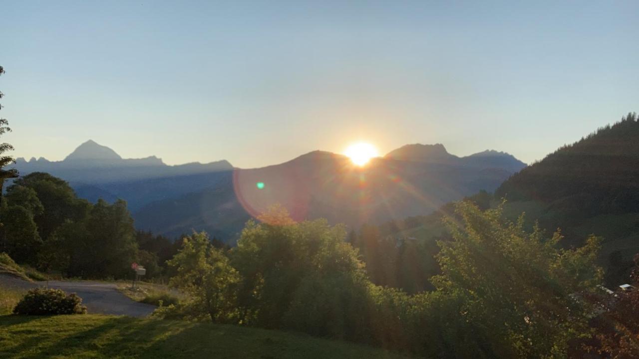 Chalets Savoie Les Chalets D'Heidi ノートル・ダム・ド・ベルコンブ エクステリア 写真