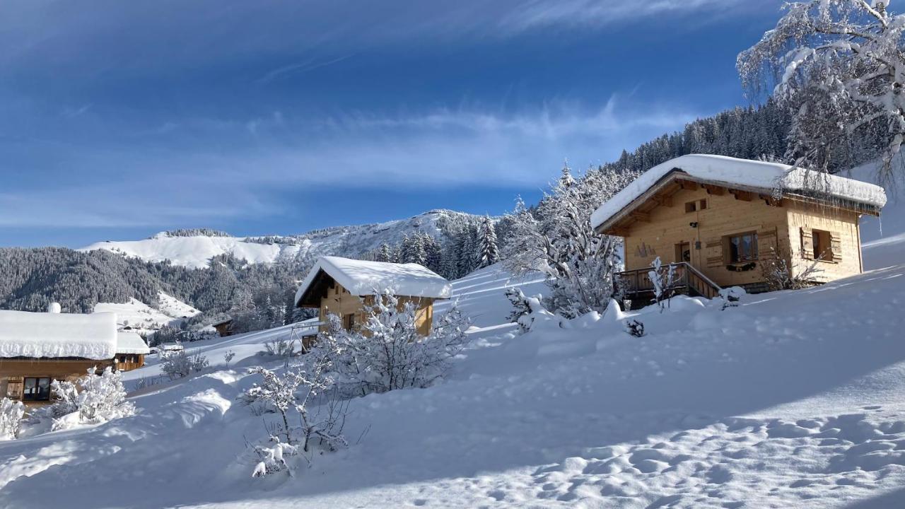 Chalets Savoie Les Chalets D'Heidi ノートル・ダム・ド・ベルコンブ エクステリア 写真