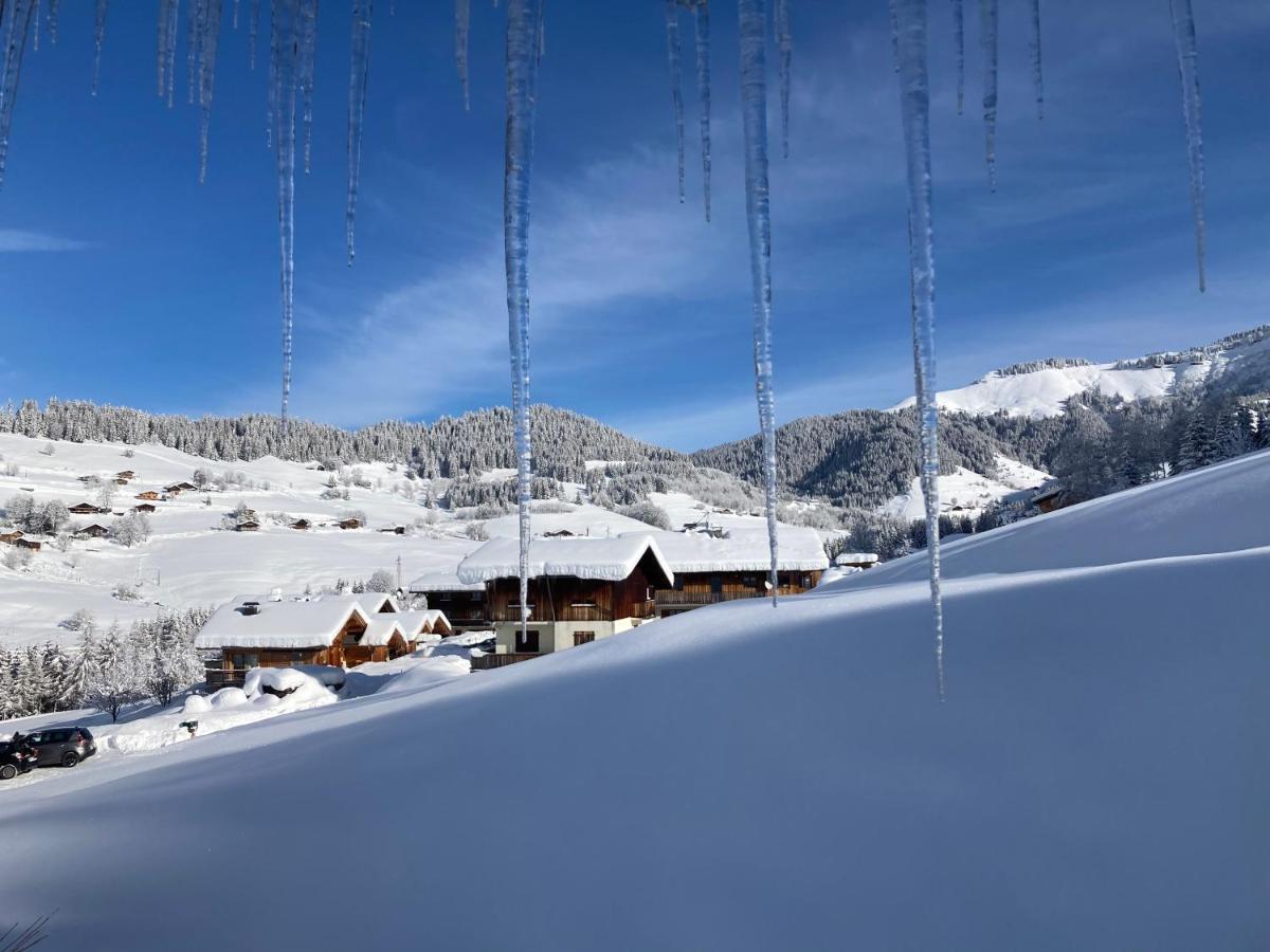 Chalets Savoie Les Chalets D'Heidi ノートル・ダム・ド・ベルコンブ エクステリア 写真