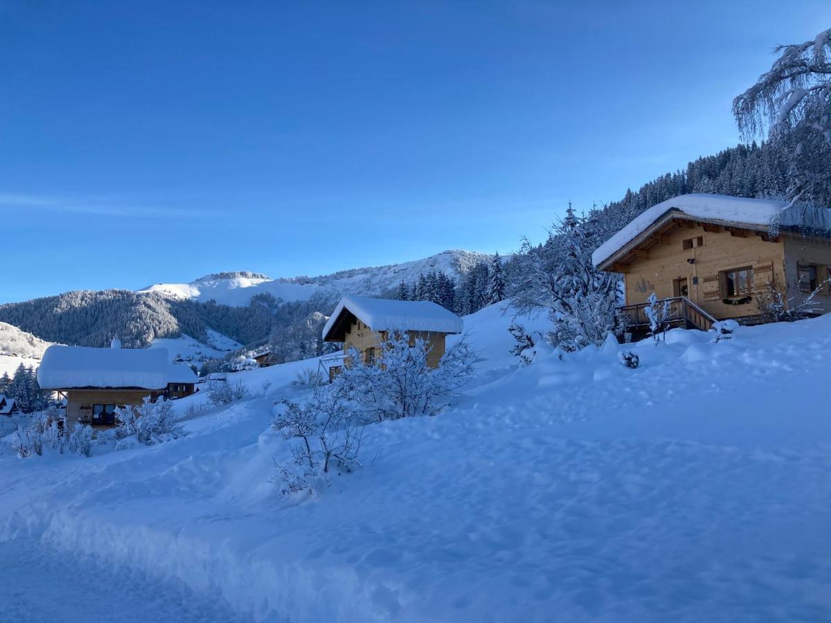 Chalets Savoie Les Chalets D'Heidi ノートル・ダム・ド・ベルコンブ エクステリア 写真