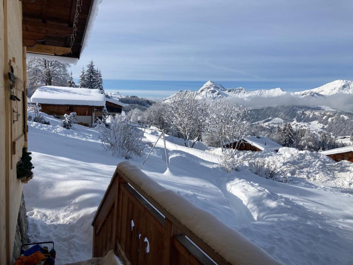 Chalets Savoie Les Chalets D'Heidi ノートル・ダム・ド・ベルコンブ エクステリア 写真