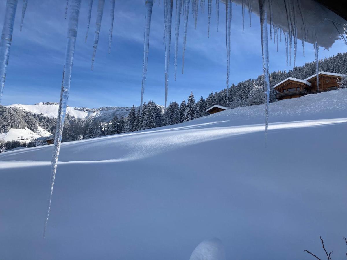 Chalets Savoie Les Chalets D'Heidi ノートル・ダム・ド・ベルコンブ エクステリア 写真