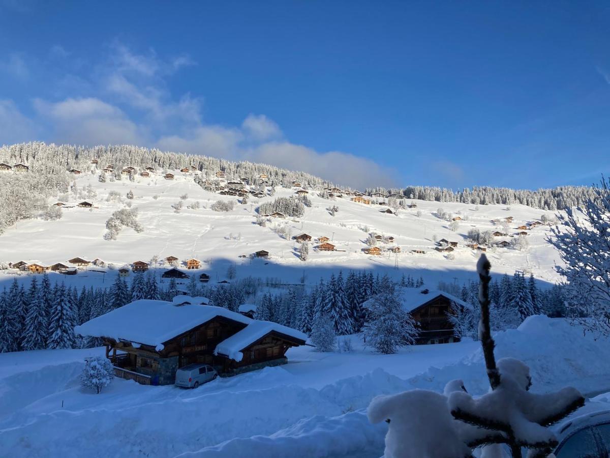 Chalets Savoie Les Chalets D'Heidi ノートル・ダム・ド・ベルコンブ エクステリア 写真