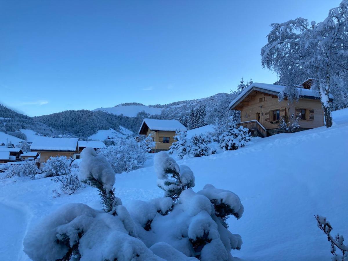 Chalets Savoie Les Chalets D'Heidi ノートル・ダム・ド・ベルコンブ エクステリア 写真