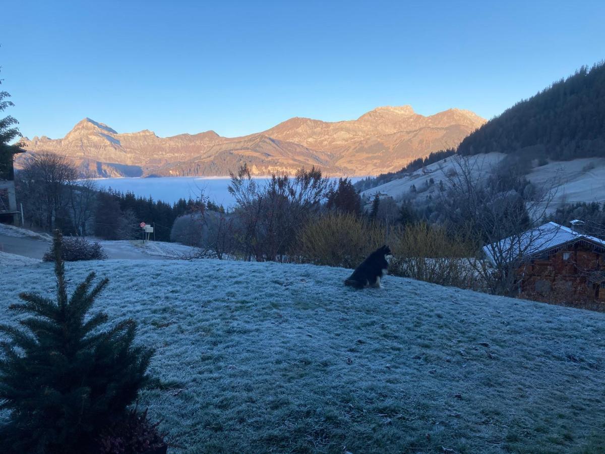 Chalets Savoie Les Chalets D'Heidi ノートル・ダム・ド・ベルコンブ エクステリア 写真