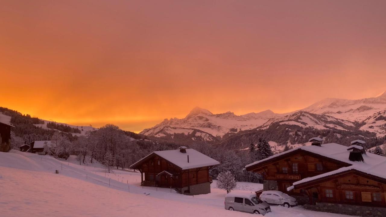 Chalets Savoie Les Chalets D'Heidi ノートル・ダム・ド・ベルコンブ エクステリア 写真