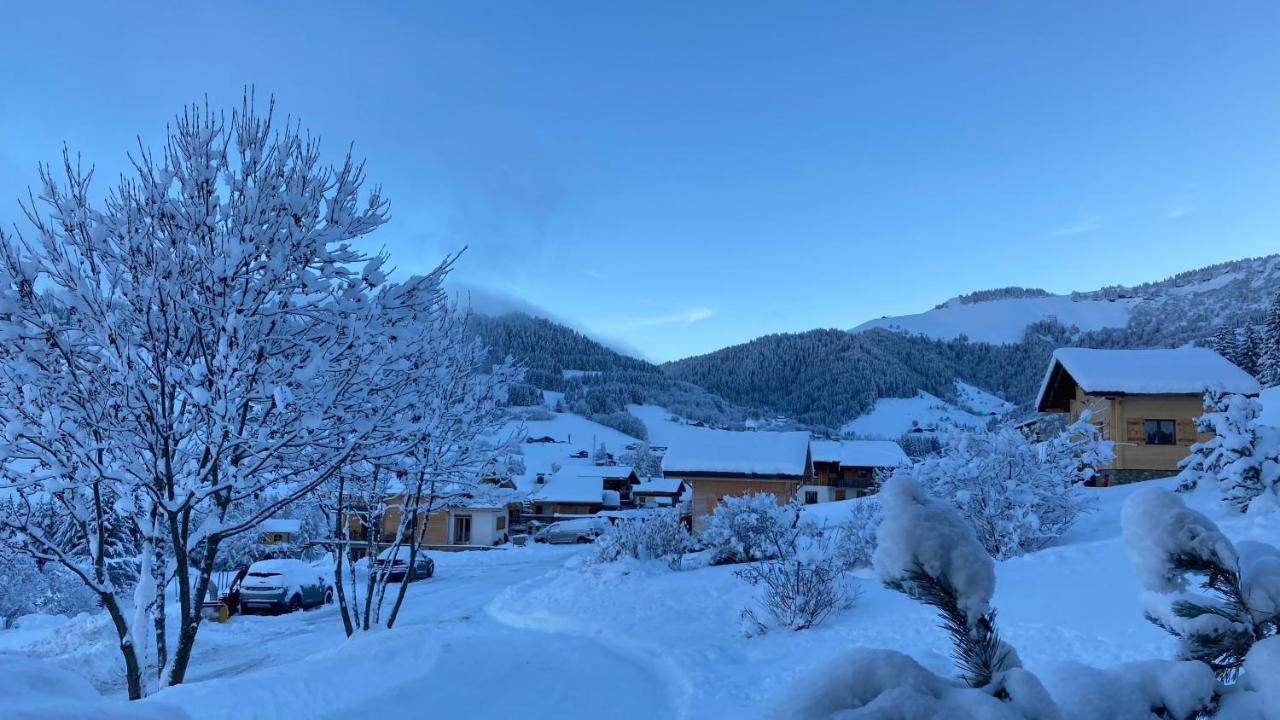 Chalets Savoie Les Chalets D'Heidi ノートル・ダム・ド・ベルコンブ エクステリア 写真