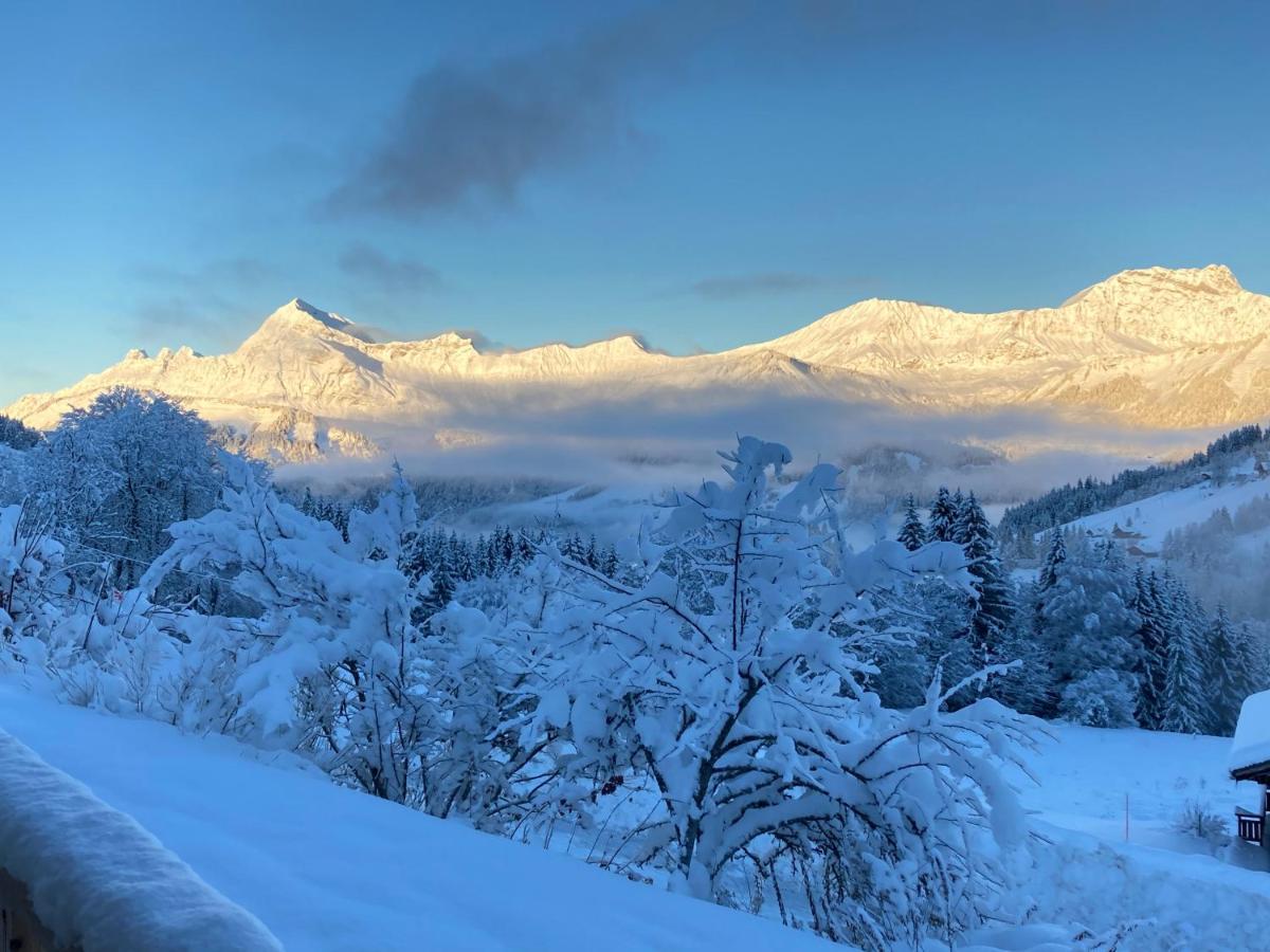 Chalets Savoie Les Chalets D'Heidi ノートル・ダム・ド・ベルコンブ エクステリア 写真