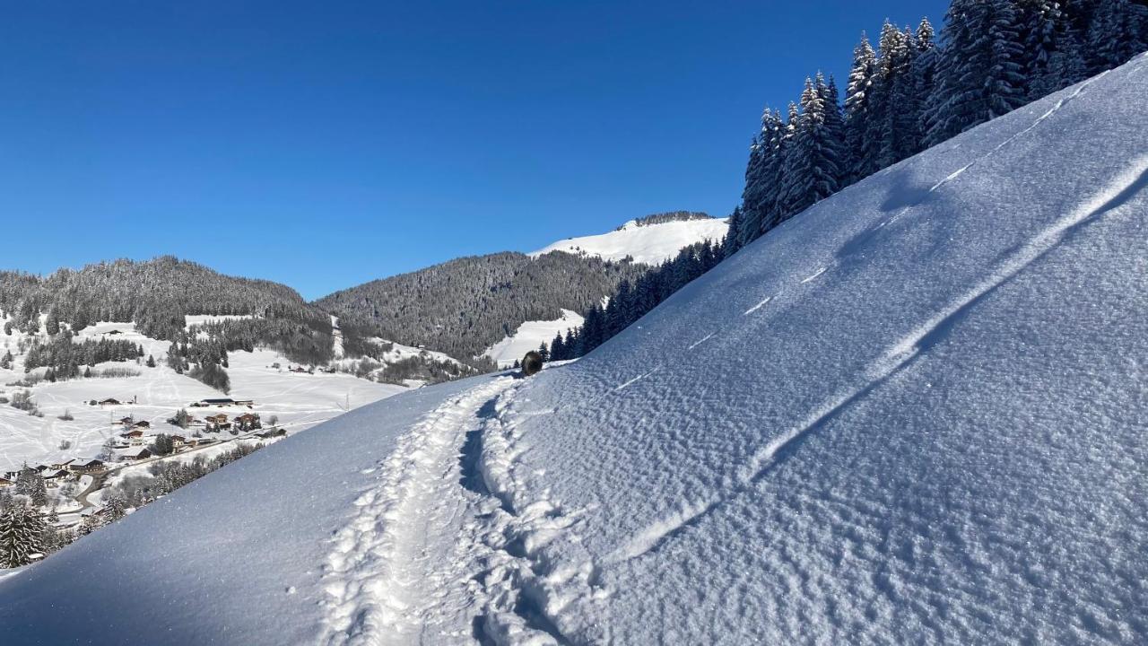 Chalets Savoie Les Chalets D'Heidi ノートル・ダム・ド・ベルコンブ エクステリア 写真