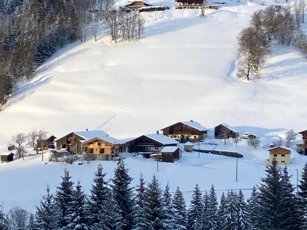 Chalets Savoie Les Chalets D'Heidi ノートル・ダム・ド・ベルコンブ エクステリア 写真