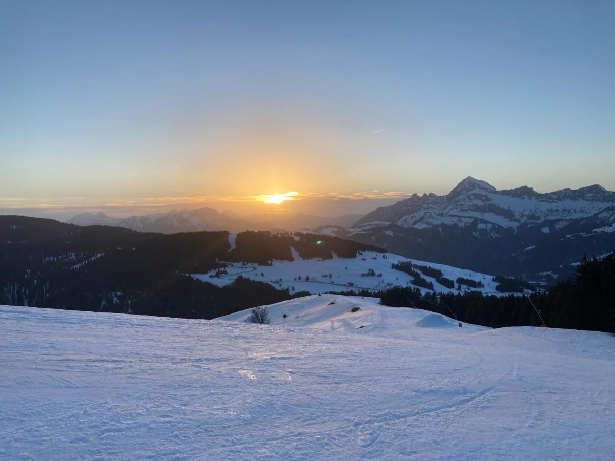 Chalets Savoie Les Chalets D'Heidi ノートル・ダム・ド・ベルコンブ エクステリア 写真