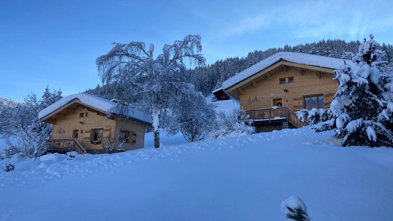 Chalets Savoie Les Chalets D'Heidi ノートル・ダム・ド・ベルコンブ エクステリア 写真