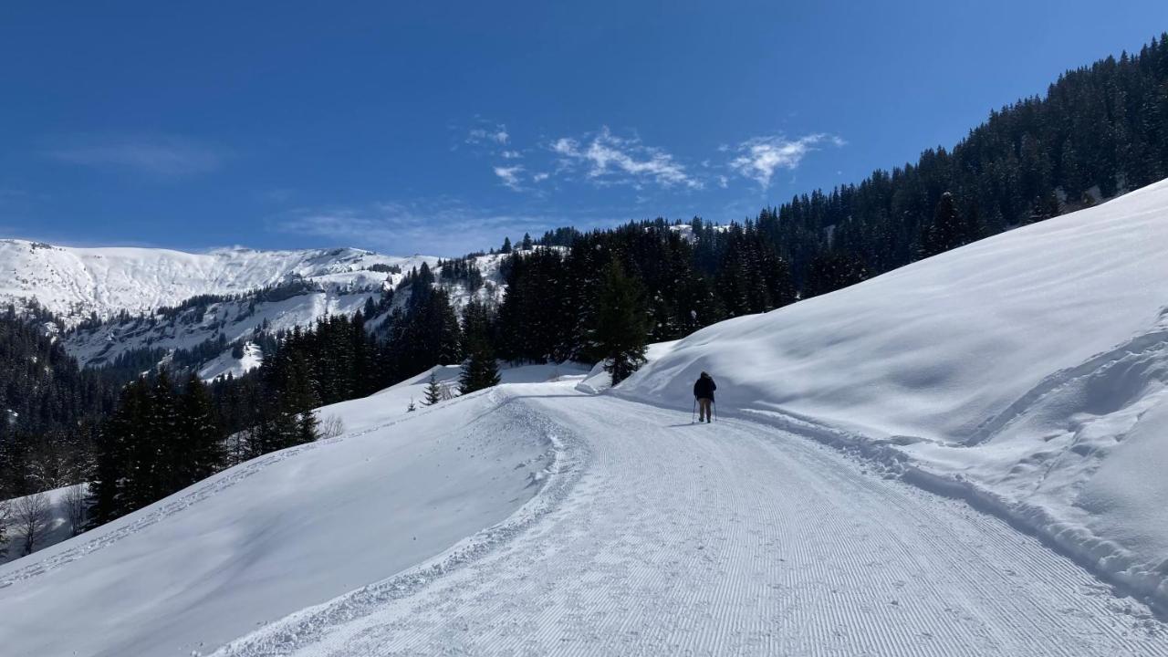 Chalets Savoie Les Chalets D'Heidi ノートル・ダム・ド・ベルコンブ エクステリア 写真