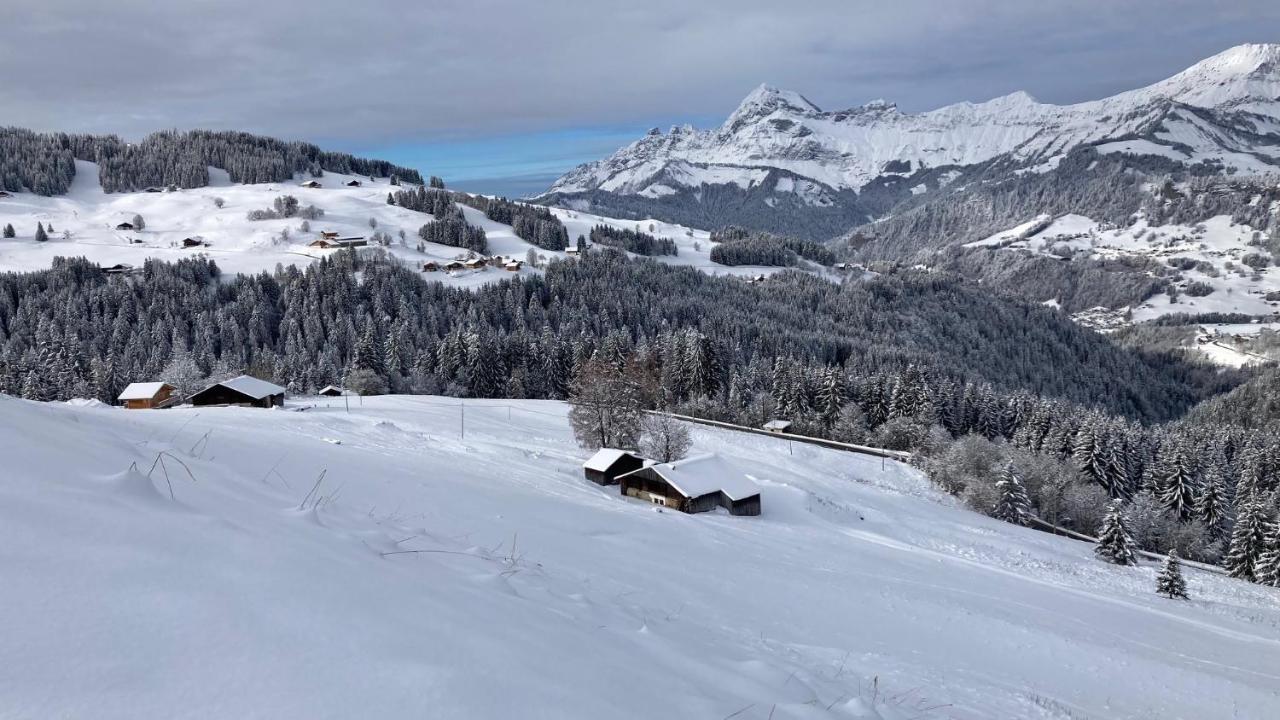 Chalets Savoie Les Chalets D'Heidi ノートル・ダム・ド・ベルコンブ エクステリア 写真