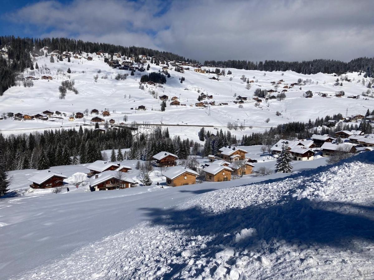 Chalets Savoie Les Chalets D'Heidi ノートル・ダム・ド・ベルコンブ エクステリア 写真