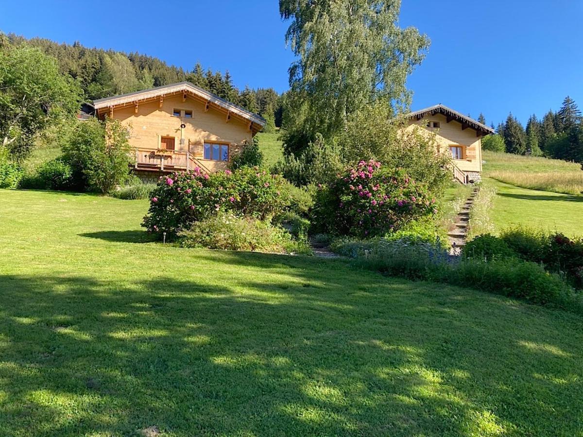 Chalets Savoie Les Chalets D'Heidi ノートル・ダム・ド・ベルコンブ エクステリア 写真