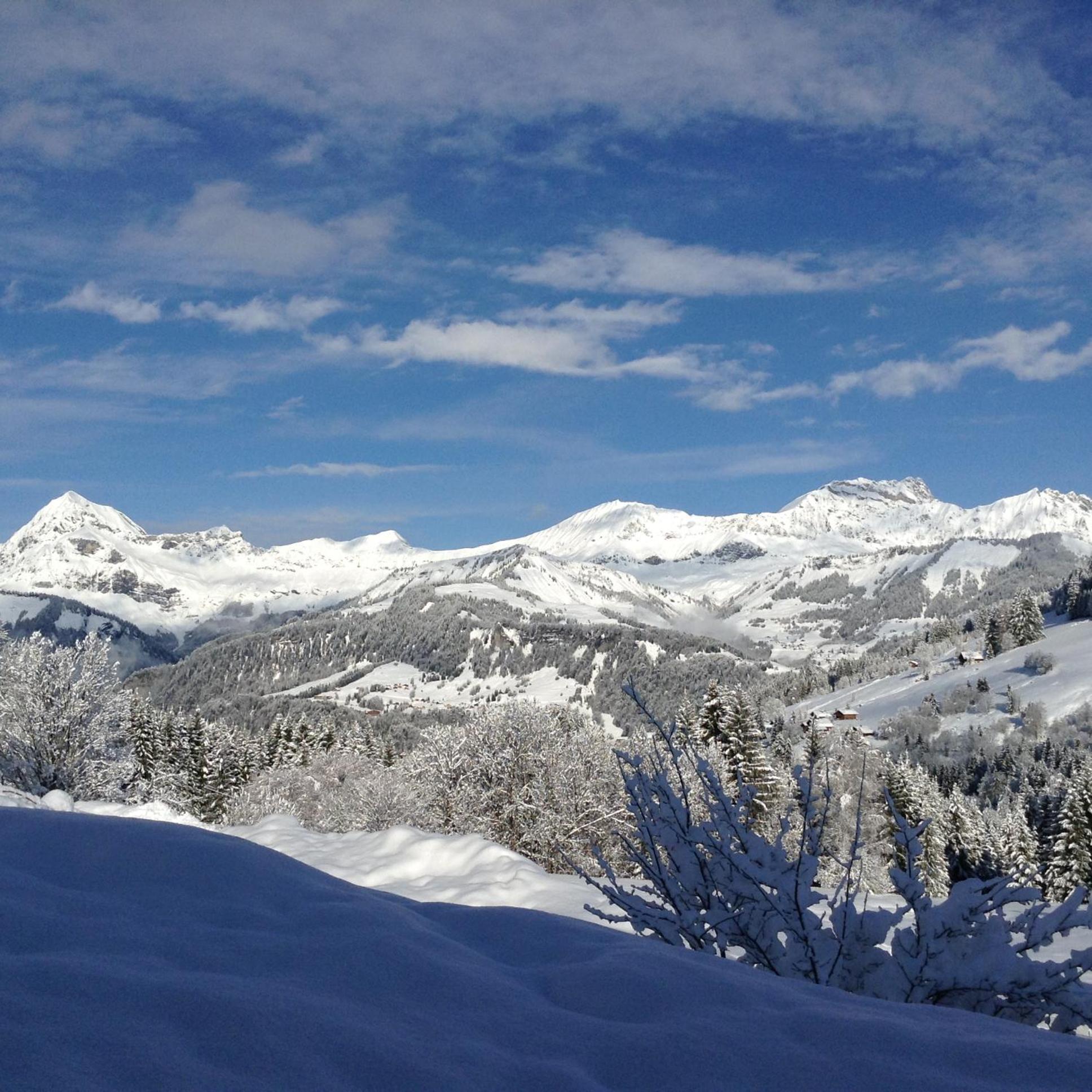 Chalets Savoie Les Chalets D'Heidi ノートル・ダム・ド・ベルコンブ エクステリア 写真