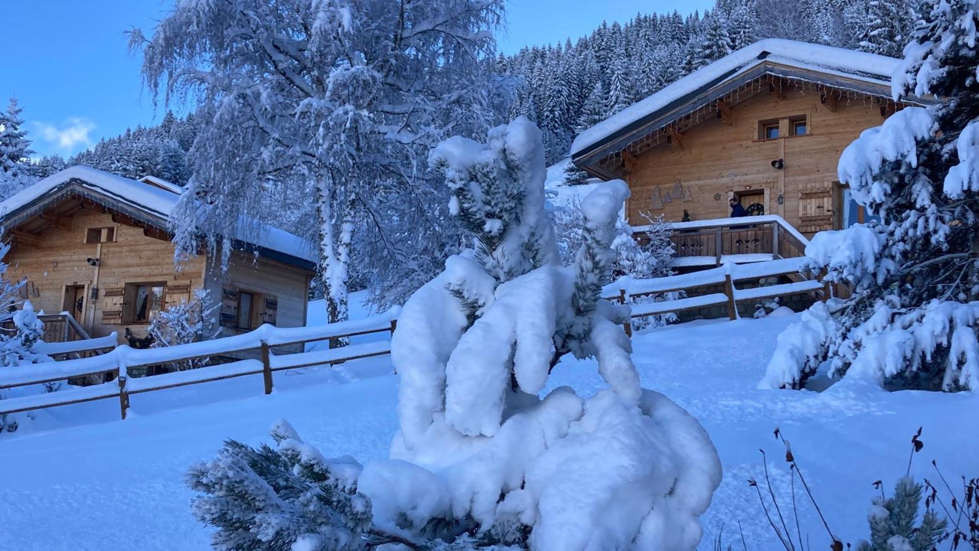 Chalets Savoie Les Chalets D'Heidi ノートル・ダム・ド・ベルコンブ エクステリア 写真