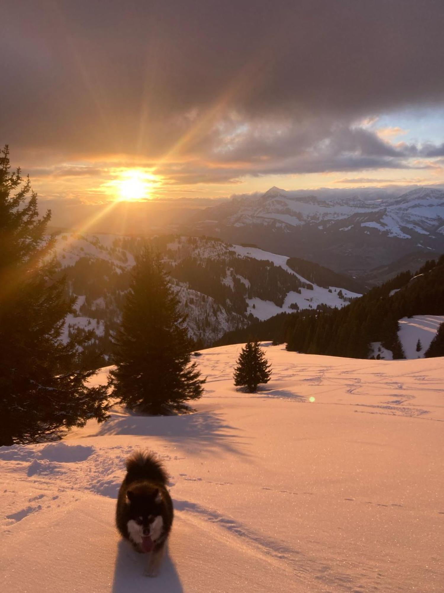 Chalets Savoie Les Chalets D'Heidi ノートル・ダム・ド・ベルコンブ エクステリア 写真