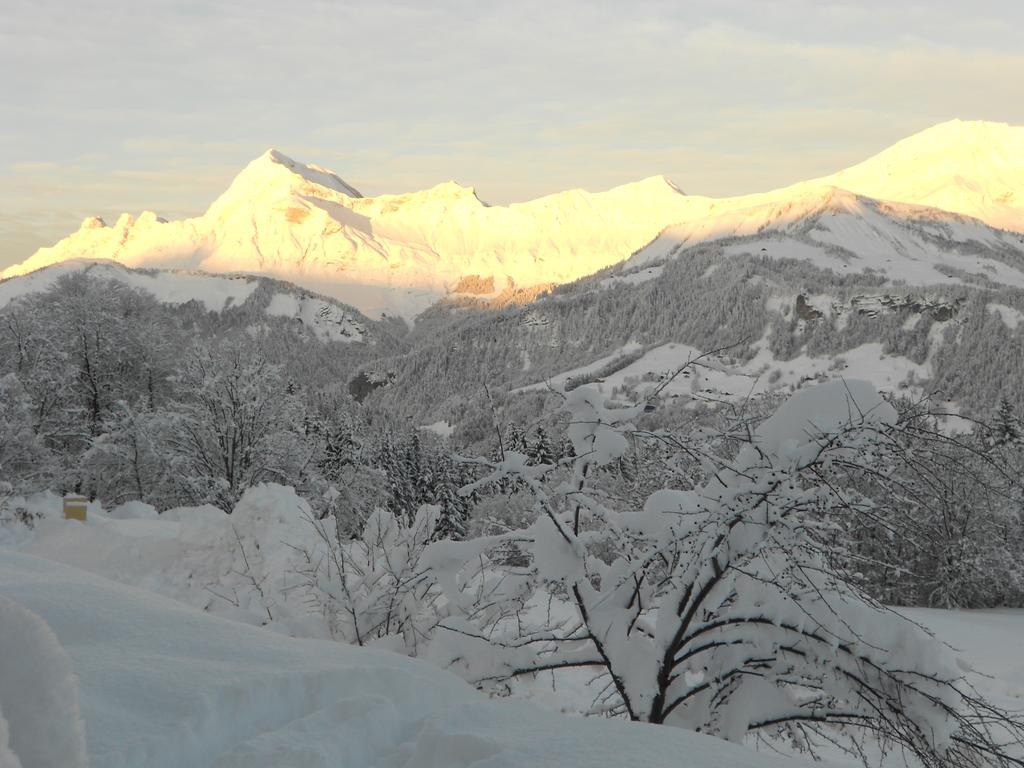 Chalets Savoie Les Chalets D'Heidi ノートル・ダム・ド・ベルコンブ 部屋 写真