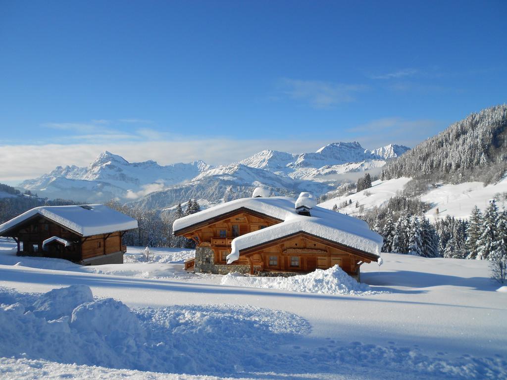 Chalets Savoie Les Chalets D'Heidi ノートル・ダム・ド・ベルコンブ エクステリア 写真