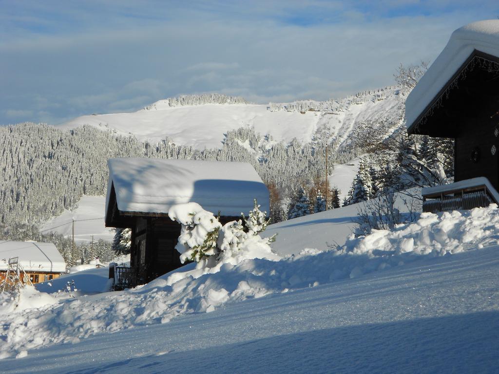 Chalets Savoie Les Chalets D'Heidi ノートル・ダム・ド・ベルコンブ エクステリア 写真