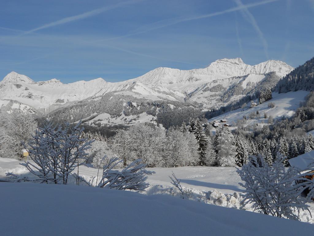 Chalets Savoie Les Chalets D'Heidi ノートル・ダム・ド・ベルコンブ エクステリア 写真