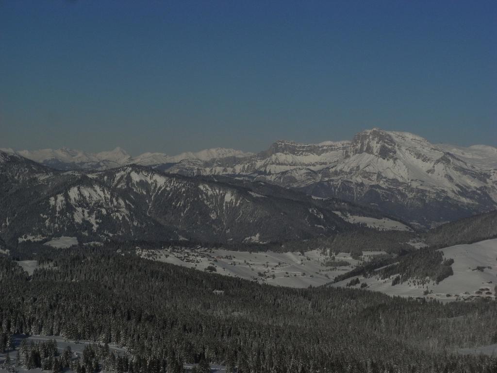 Chalets Savoie Les Chalets D'Heidi ノートル・ダム・ド・ベルコンブ エクステリア 写真