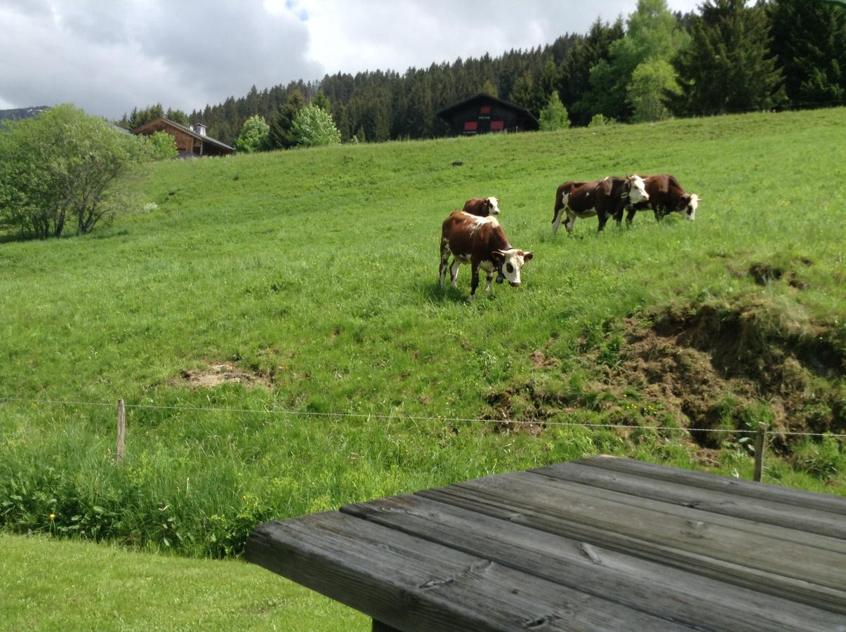Chalets Savoie Les Chalets D'Heidi ノートル・ダム・ド・ベルコンブ エクステリア 写真