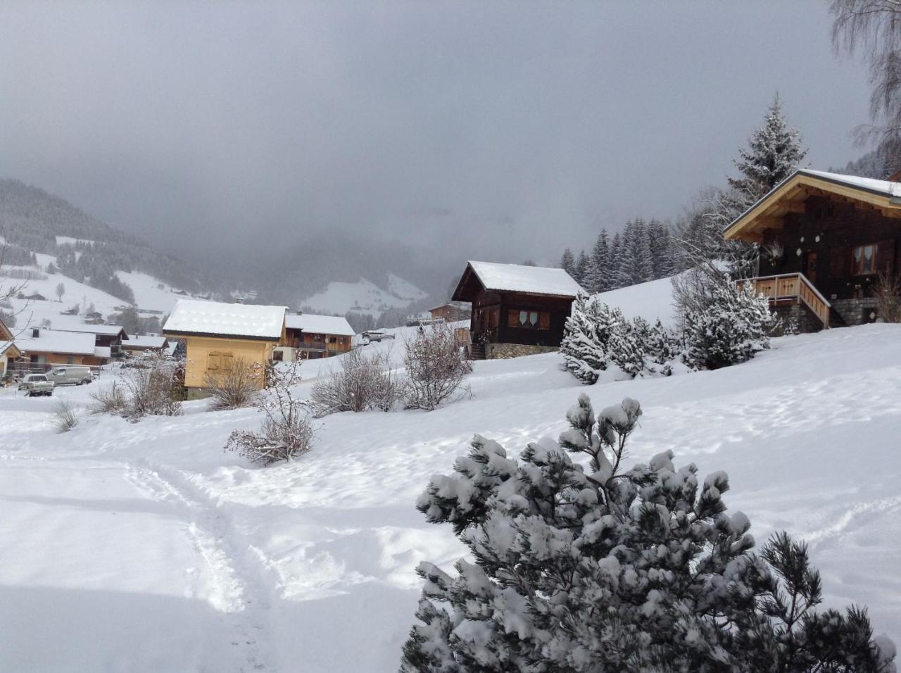 Chalets Savoie Les Chalets D'Heidi ノートル・ダム・ド・ベルコンブ エクステリア 写真