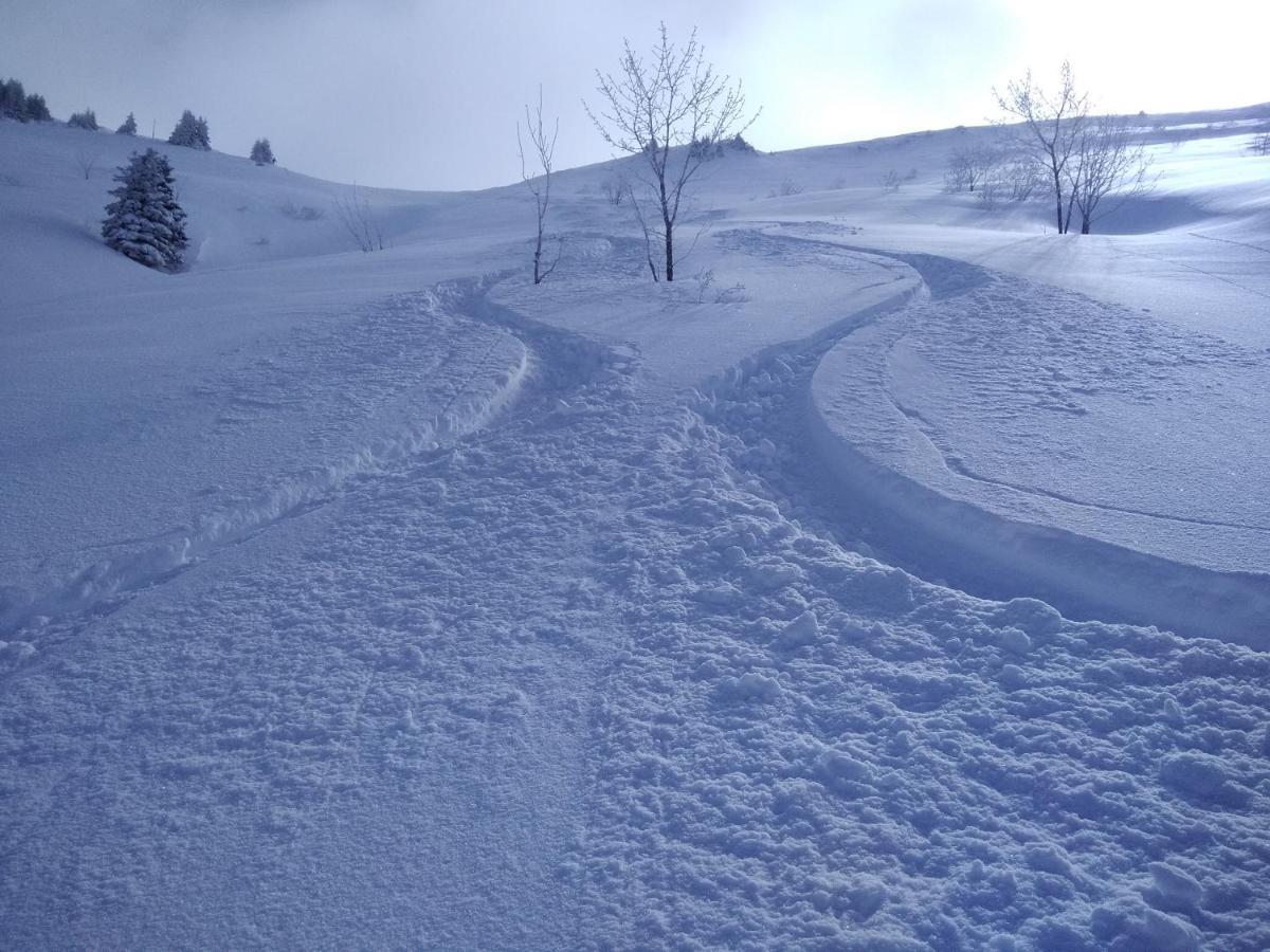 Chalets Savoie Les Chalets D'Heidi ノートル・ダム・ド・ベルコンブ エクステリア 写真