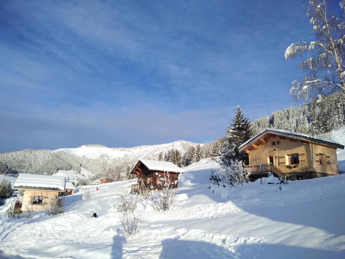 Chalets Savoie Les Chalets D'Heidi ノートル・ダム・ド・ベルコンブ エクステリア 写真
