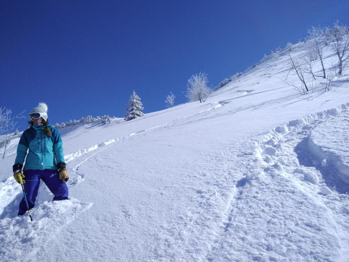 Chalets Savoie Les Chalets D'Heidi ノートル・ダム・ド・ベルコンブ エクステリア 写真